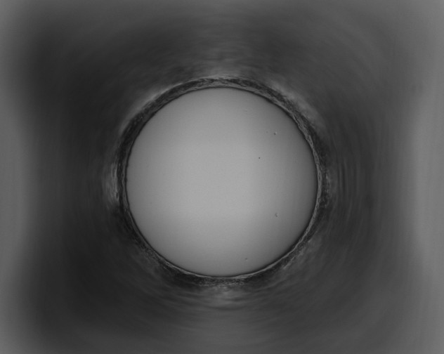 X0000100321262200806190955