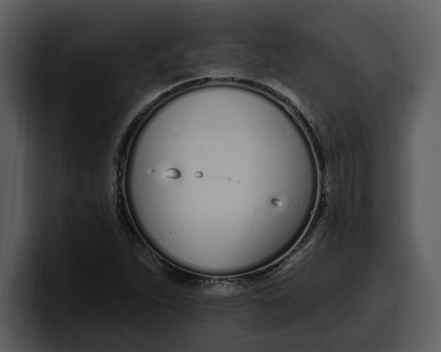 X0000100321263200806190955