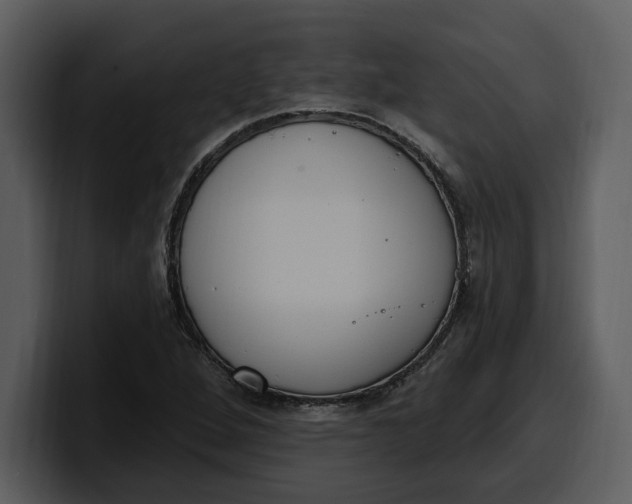 X0000100321264200806190955