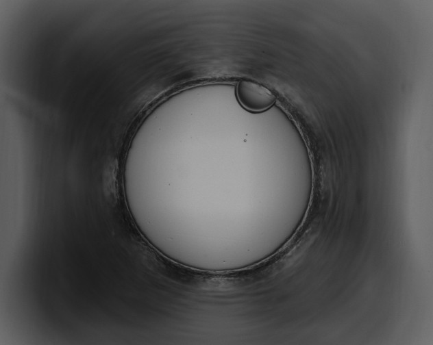 X0000100321265200806190955