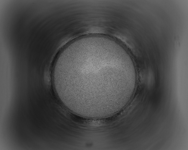 X0000100321266200806190955