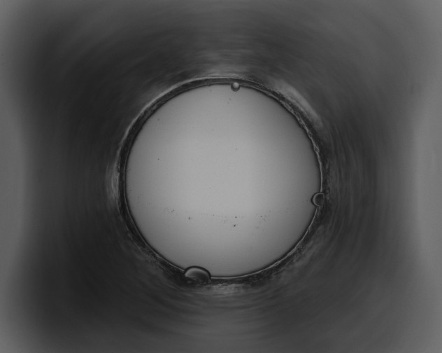 X0000100321268200806190955