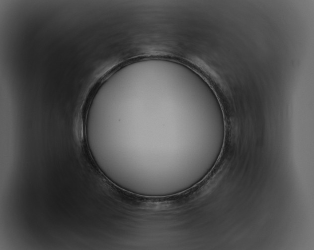 X0000100321269200806190955