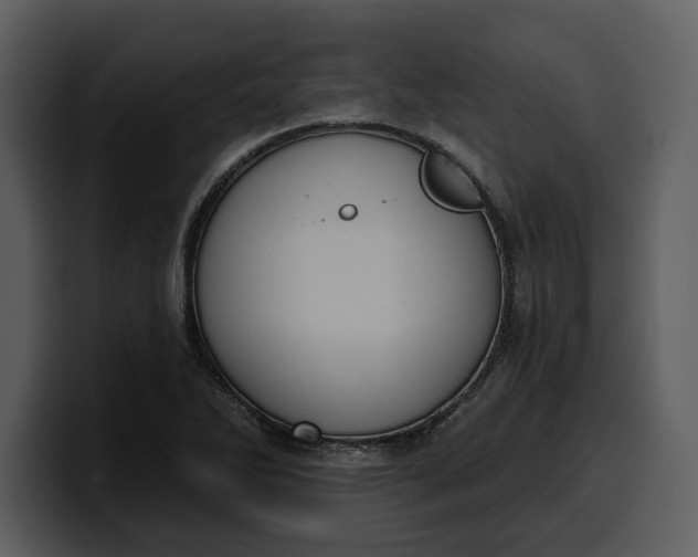 X0000100321270200806190955