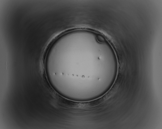 X0000100321271200806190955