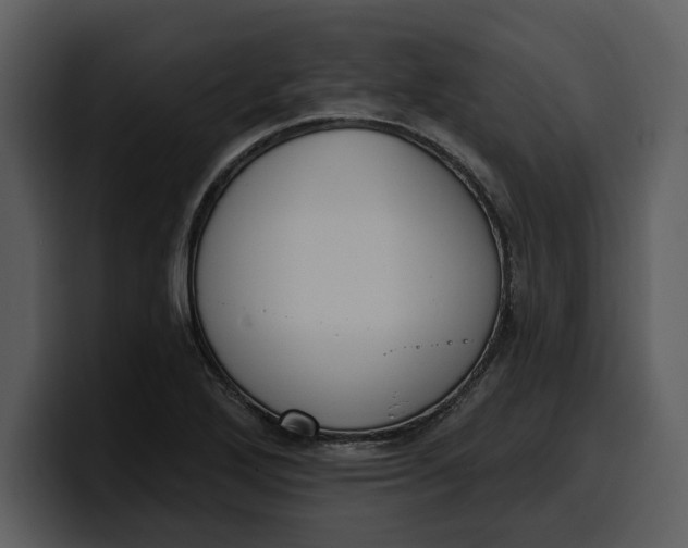 X0000100321272200806190955