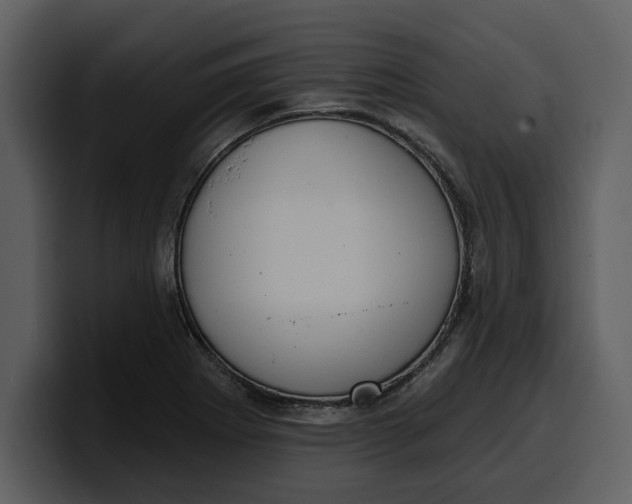 X0000100321273200806190955