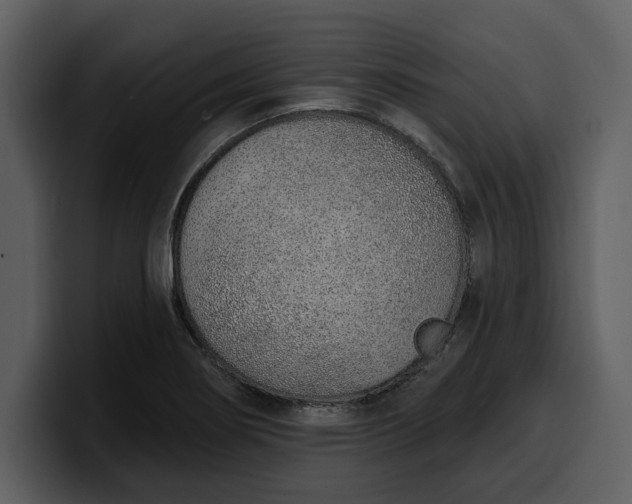 X0000100321274200806190955