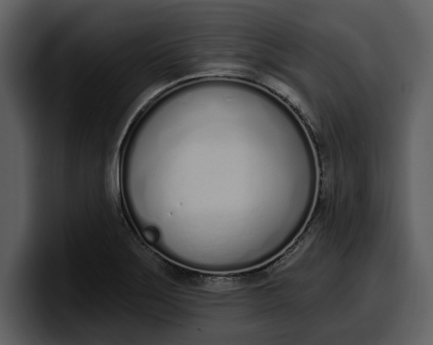 X0000100321275200806190955