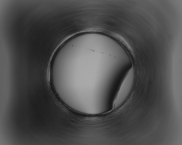 X0000100321276200806190955