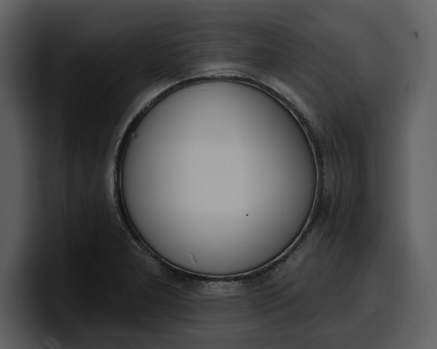 X0000100321277200806190955