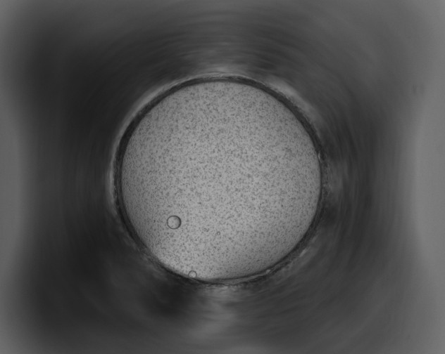 X0000100321278200806190955