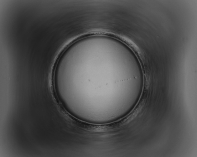 X0000100321279200806190955