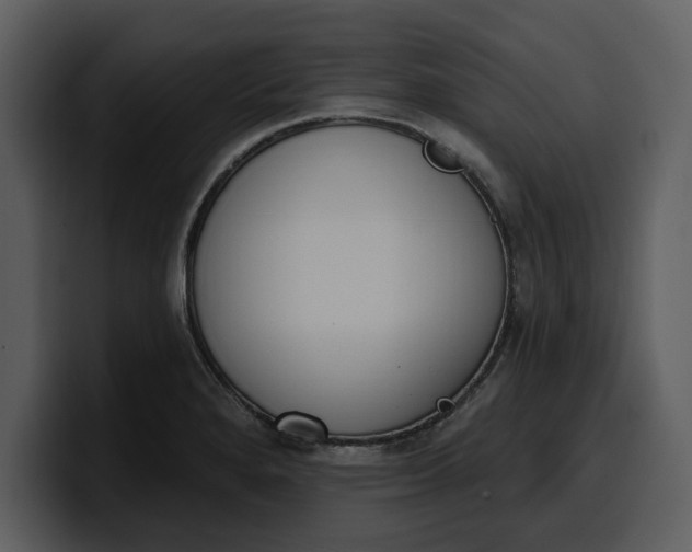 X0000100321280200806190955