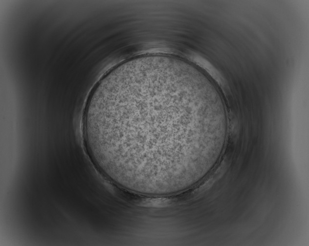 X0000100321282200806190955