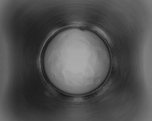 X0000100321283200806190955