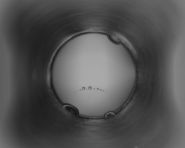 X0000100321284200806190955