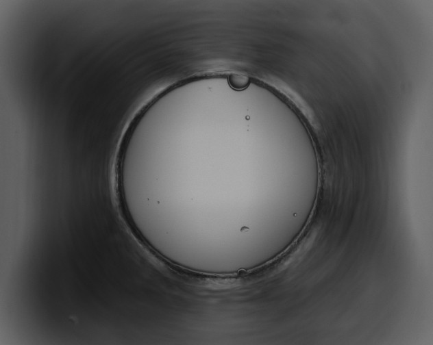 X0000100321285200806190955