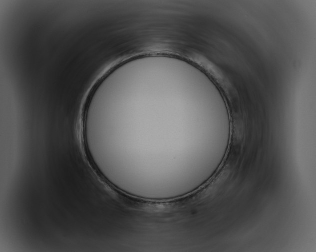 X0000100321286200806190955