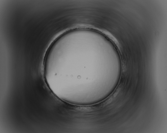 X0000100321287200806190955