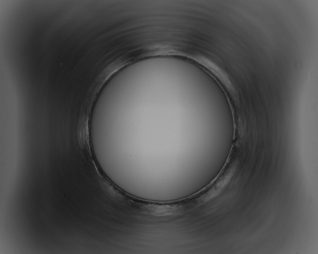 X0000100321289200806190955