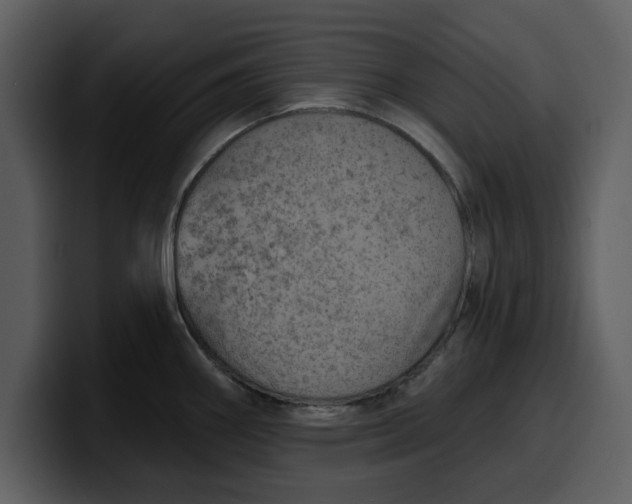 X0000100321290200806190955