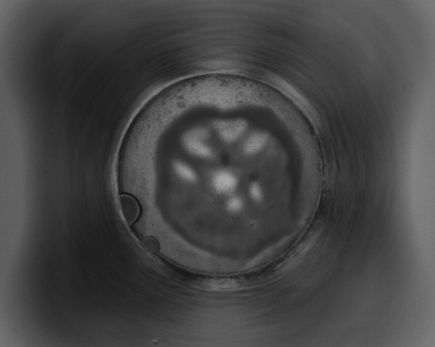 X0000100321291200806190955