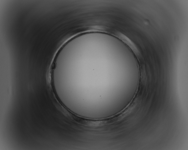 X0000100321292200806190955