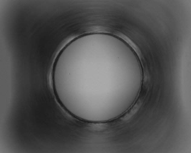 X0000100321293200806190955