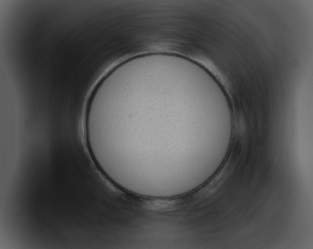 X0000100321294200806190955