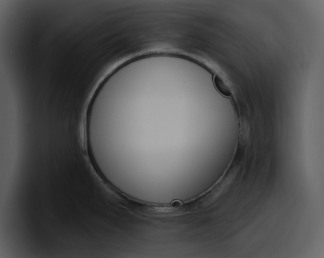 X0000100321295200806190955