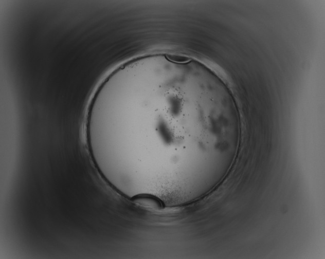 X0000100321296200806190955