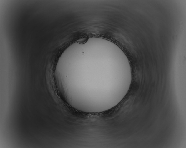 X0000100321297200806190954