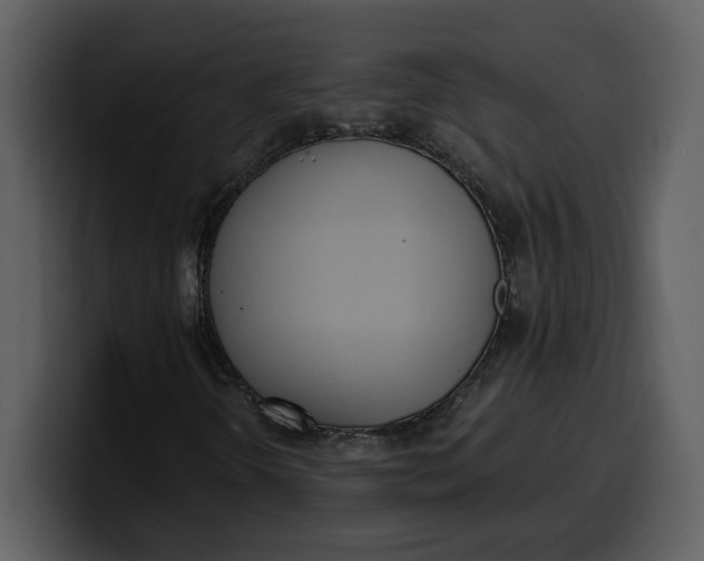 X0000100321298200806190954