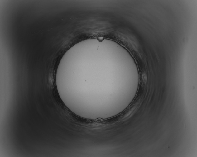 X0000100321300200806190954