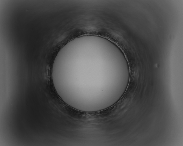 X0000100321301200806190954