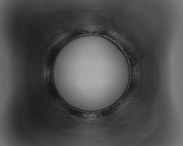 X0000100321302200806190954