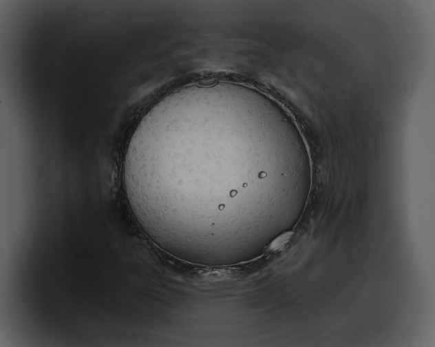 X0000100321303200806190954