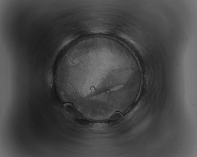 X0000100321306200806190955