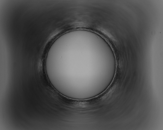 X0000100321309200806190955