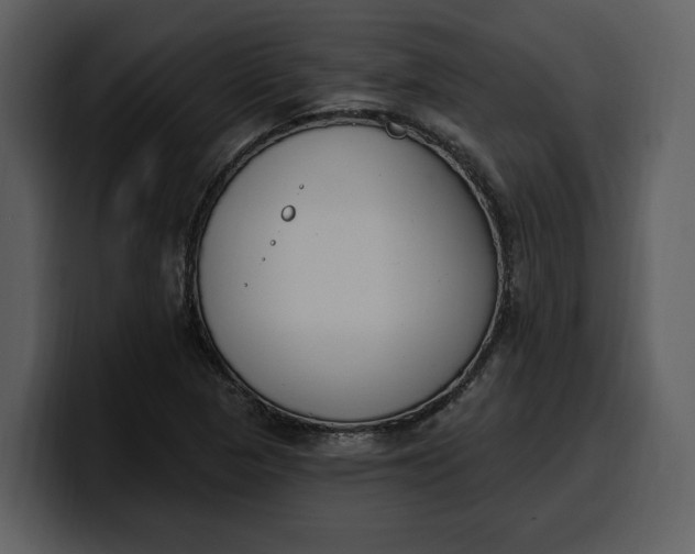 X0000100321313200806190955