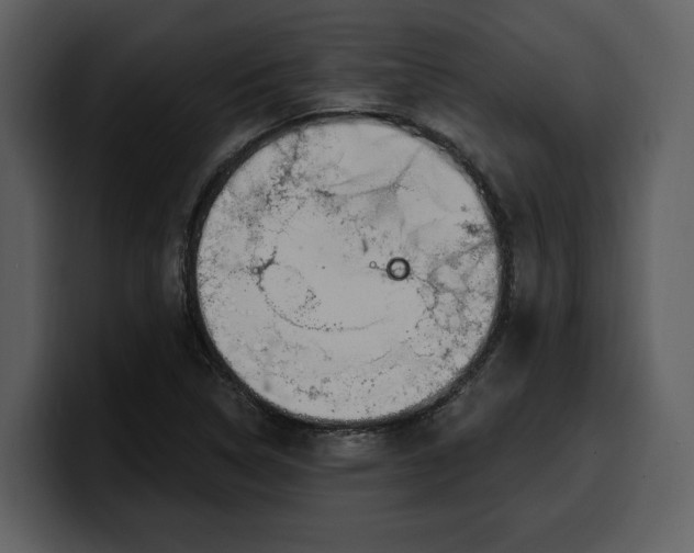 X0000100321314200806190955