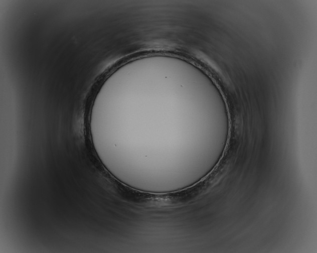 X0000100321315200806190955