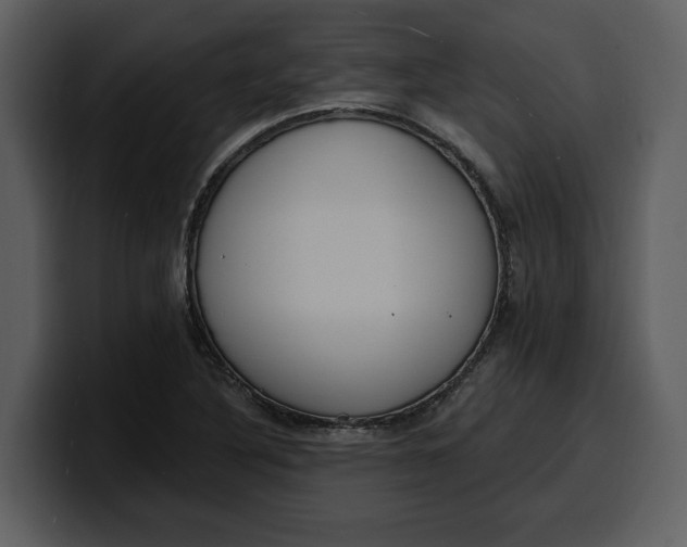 X0000100321316200806190955