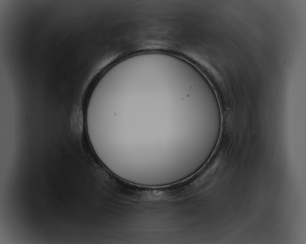 X0000100321317200806190955