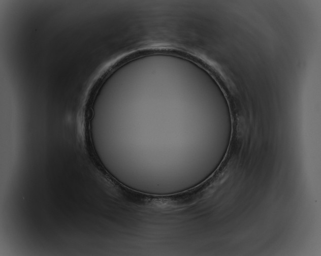 X0000100321319200806190955