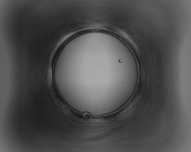 X0000100321320200806190955