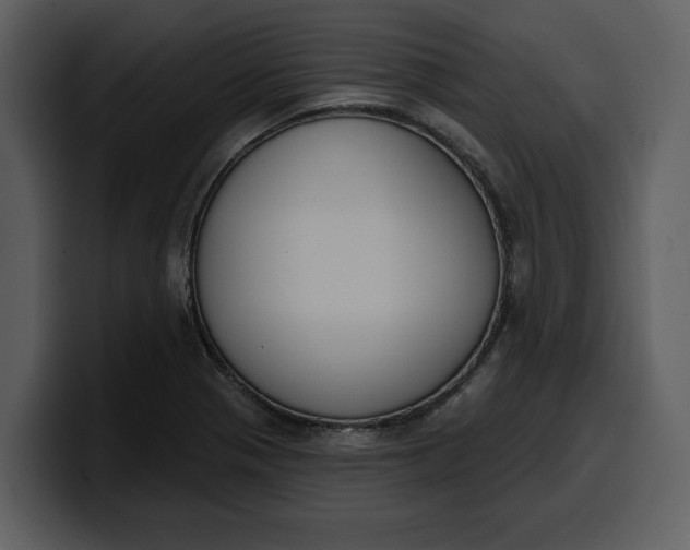 X0000100321321200806190955