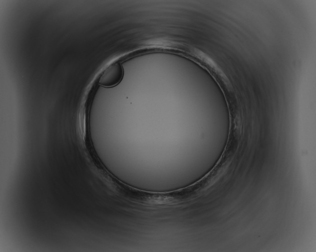 X0000100321323200806190955