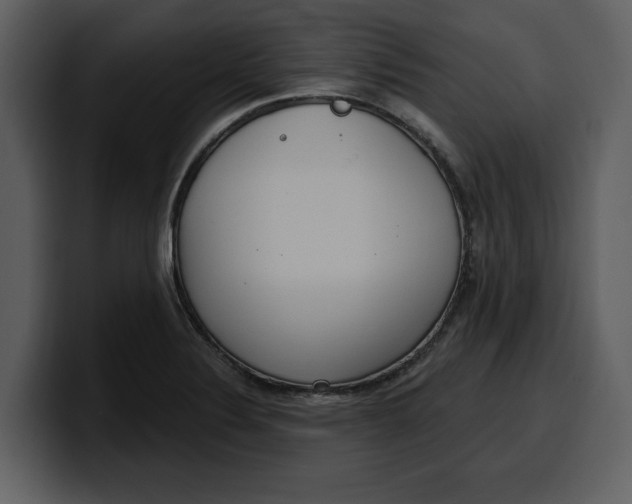 X0000100321324200806190955